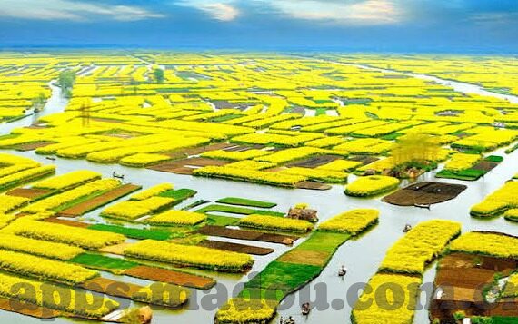 国产精品麻豆久久久不卡av-国产精品麻豆的持久魅力与文化自信的展现