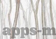 麻豆app下载无限观看-如何安全下载和无限观看麻豆APP，经验分享与建议