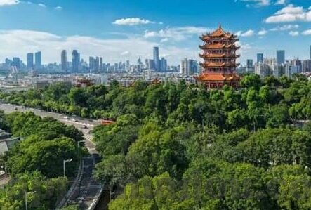 麻豆传媒app破解版下载免费版下载ios-「无视风险，拒绝非法下载，麻豆传媒App的辨识与正确态度」