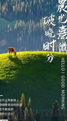 麻豆传媒轻量版-享受科技便利，麻豆传媒轻量版引领手机娱乐新时代