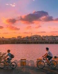 人妻av排行2017-2017年人妻AV排行，探索成人娱乐的多元视角与文化现象