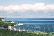 日韩av一区二区在线观看-日韩AV一区二区在线观看，网络文化的多元视角与伦理考量