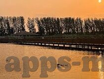 糖心视频网站app-揭秘糖心视频，灰暗角落的惊悚一瞥