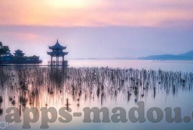 与糖心app相关的软件-糖心软件生态，一场数字生活的新交织